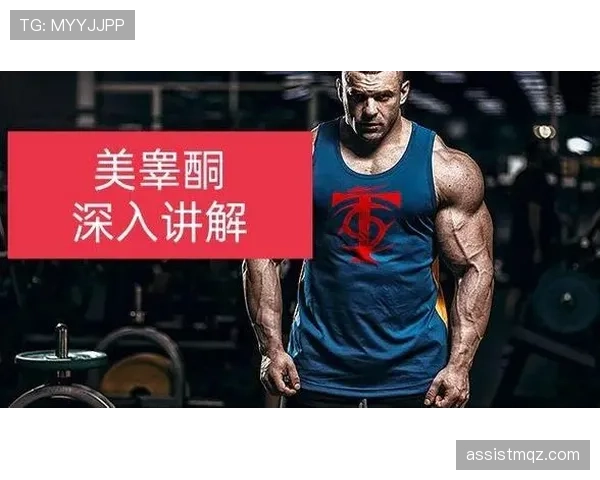 深入解析篮球加罚规则：触发条件、执行细节与规则解读